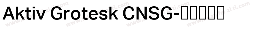 Aktiv Grotesk CNSG字体转换